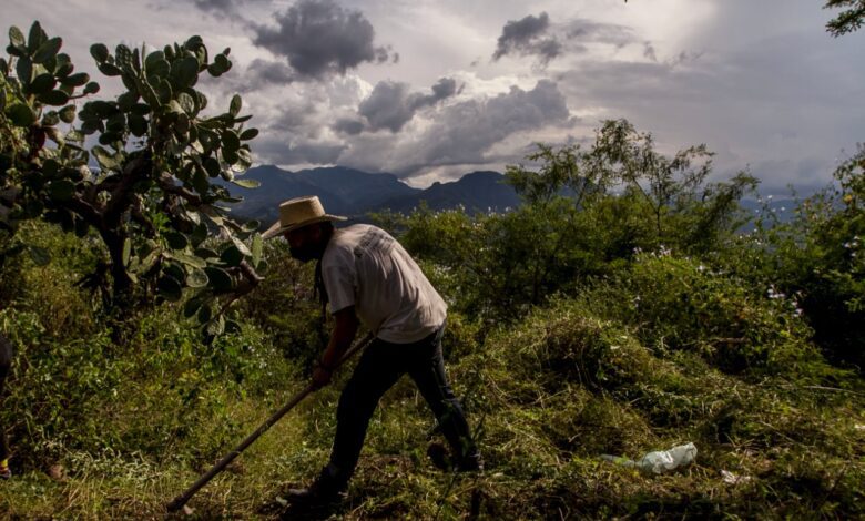 De la búsqueda al hallazgo de un campo de exterminio así fue la labor