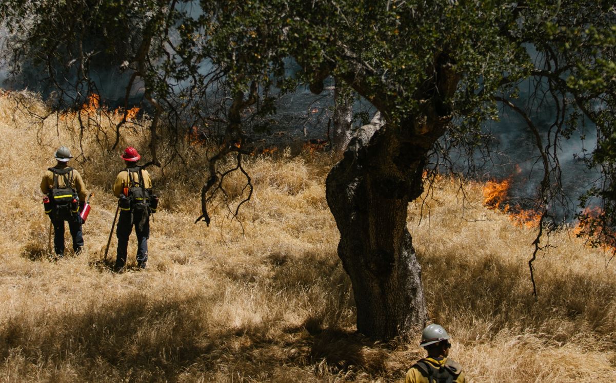 Descuido Negligencia O Vandalismo Provocan De Incendios