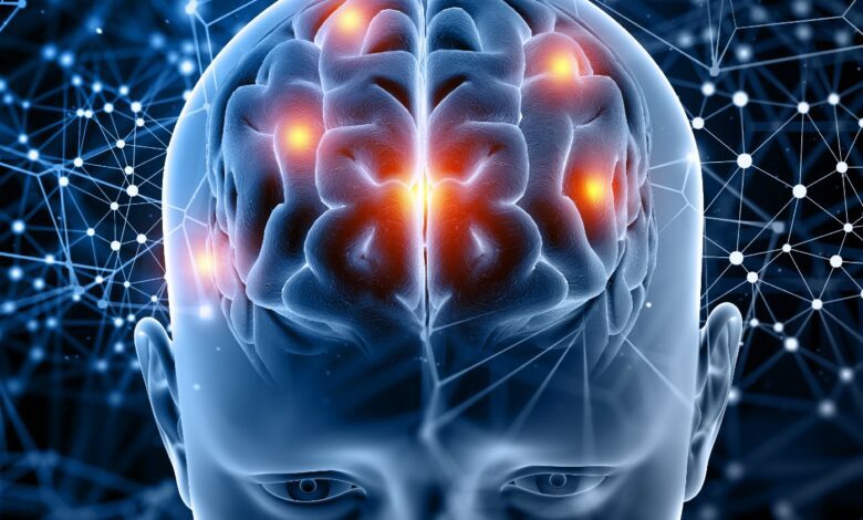 El cerebro humano procesa imágenes con 15 segundos de retraso, según estudio • Once Noticias